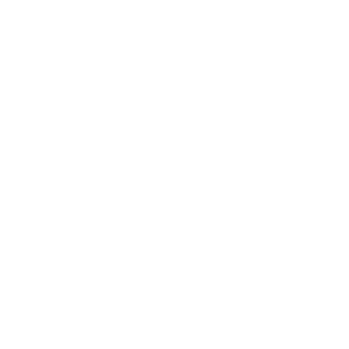 ChosenVisionaries